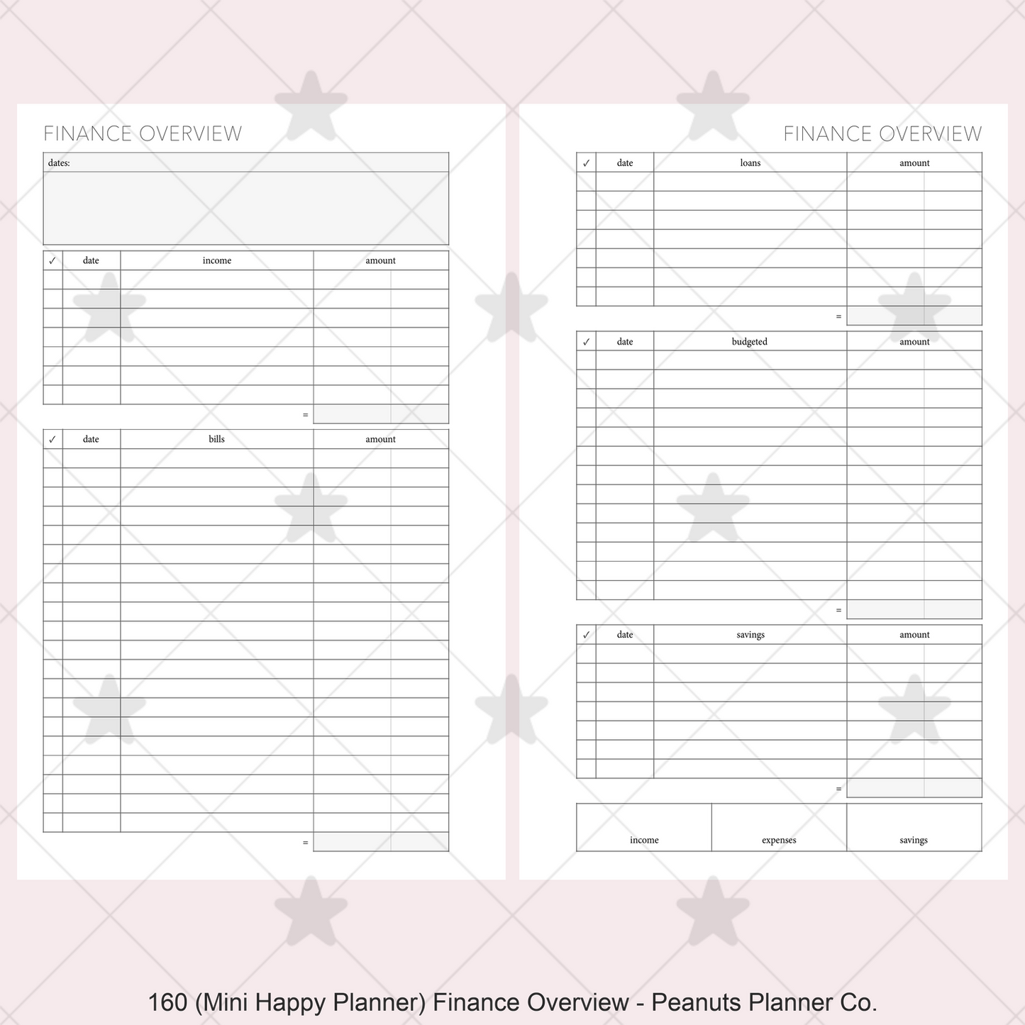 160: Finance Overview w/ Income Budget Loan Expenses Bills Savings Monthly