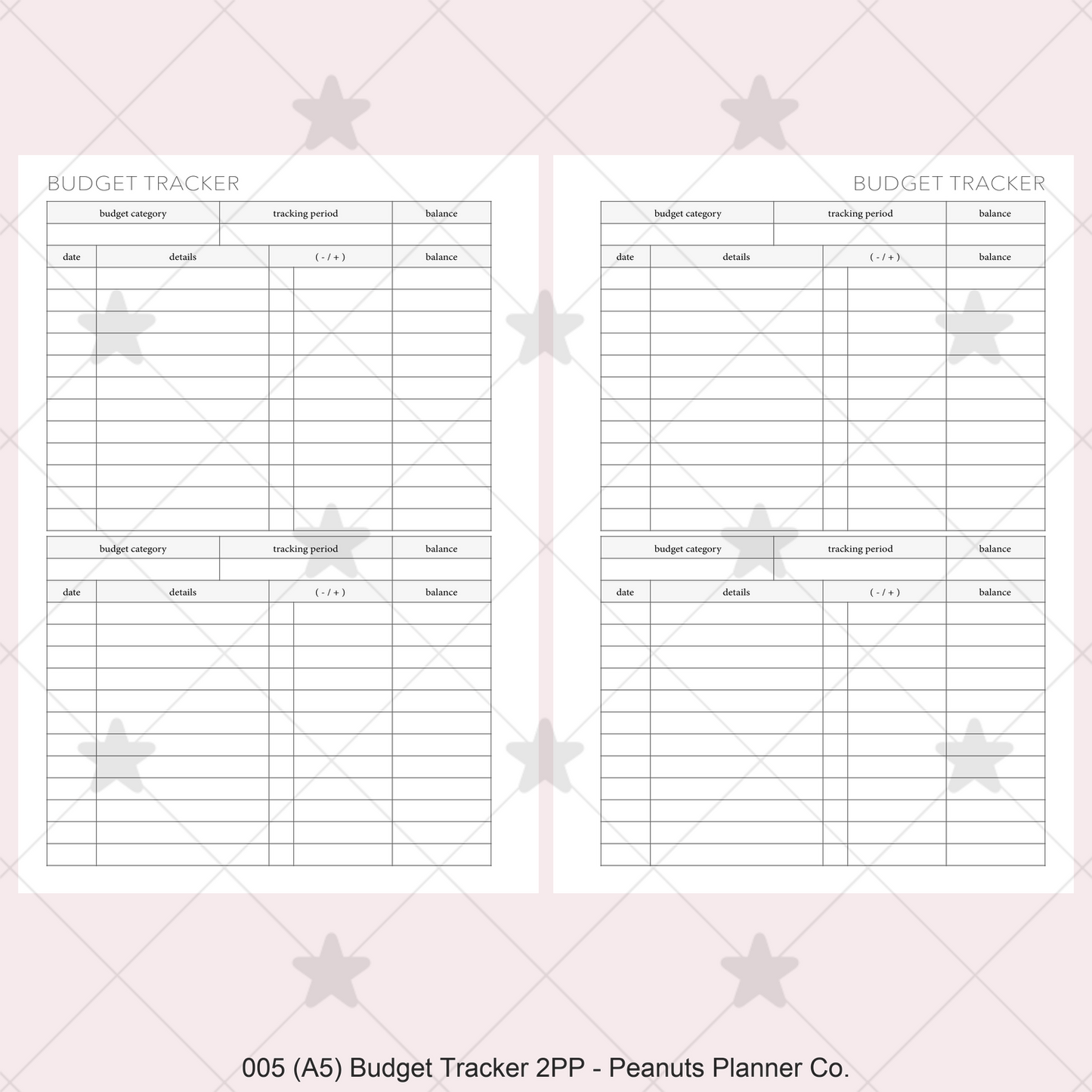 005: Budget Tracker 2PP