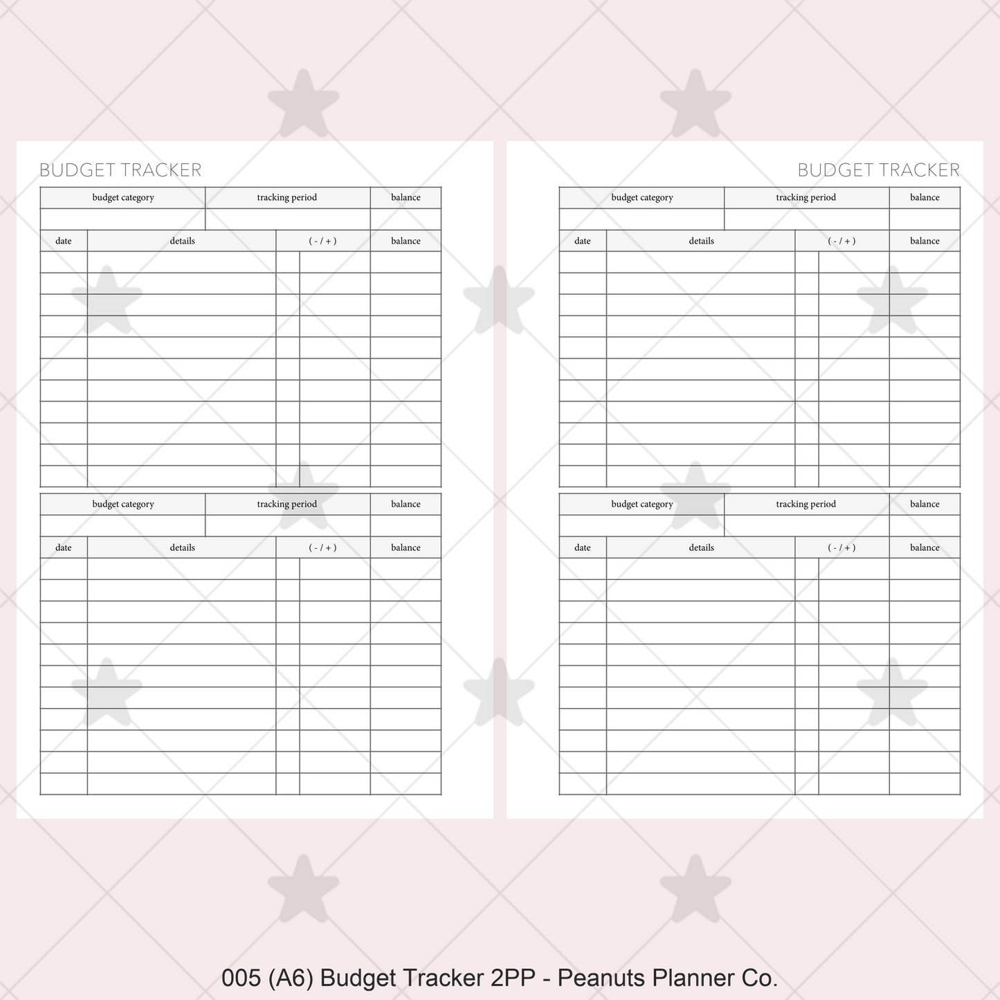 005: Budget Tracker 2PP
