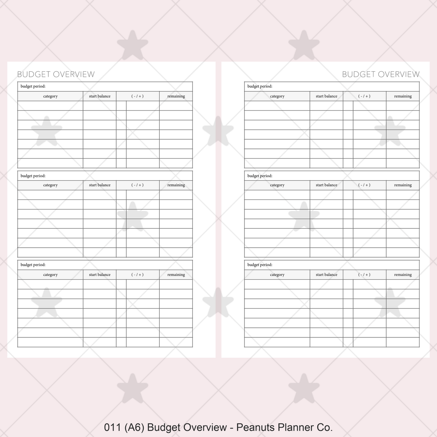 011: Budget Overview