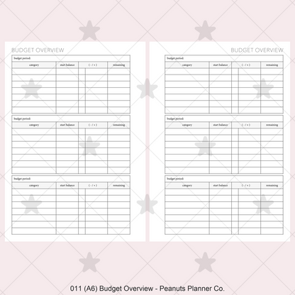 011: Budget Overview