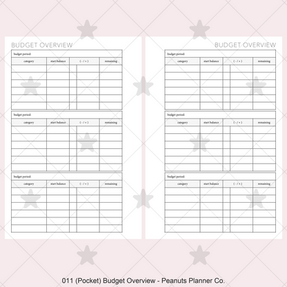 011: Budget Overview
