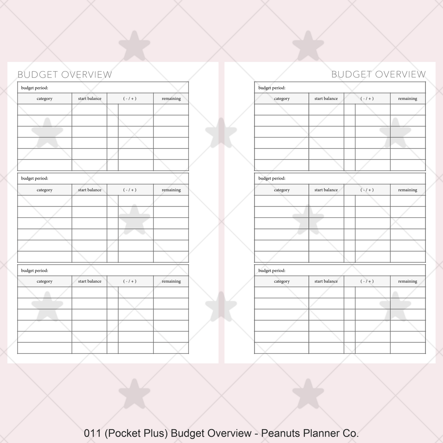 011: Budget Overview