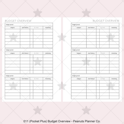 011: Budget Overview