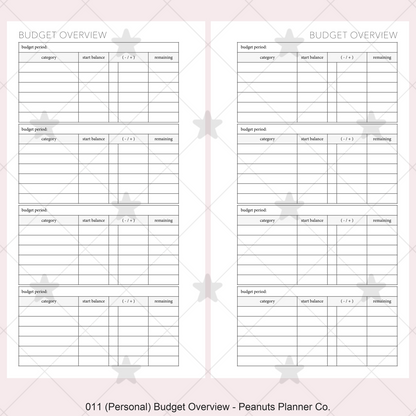011: Budget Overview