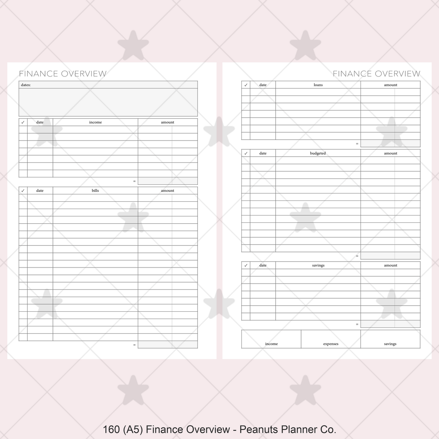 160: Finance Overview w/ Income Budget Loan Expenses Bills Savings Monthly