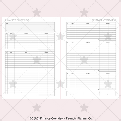 160: Finance Overview w/ Income Budget Loan Expenses Bills Savings Monthly