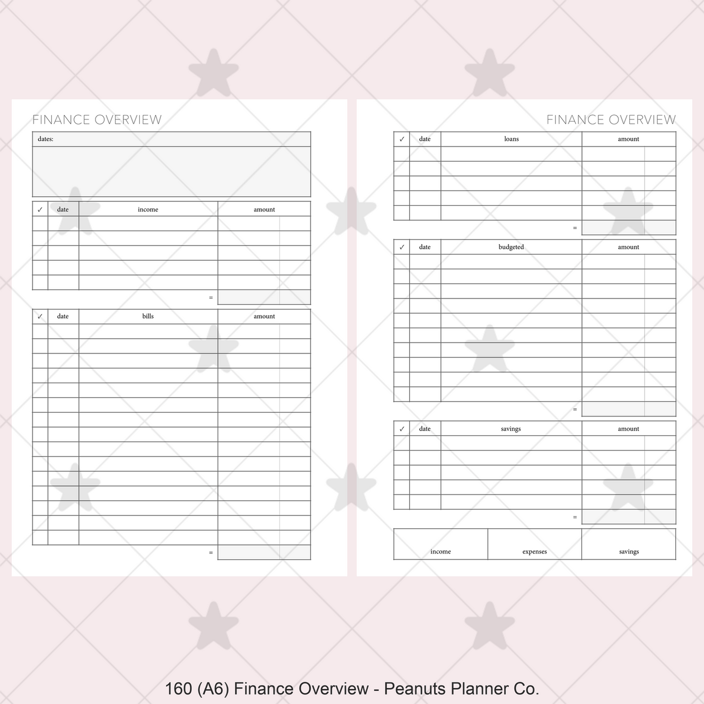 160: Finance Overview w/ Income Budget Loan Expenses Bills Savings Monthly