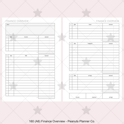 160: Finance Overview w/ Income Budget Loan Expenses Bills Savings Monthly