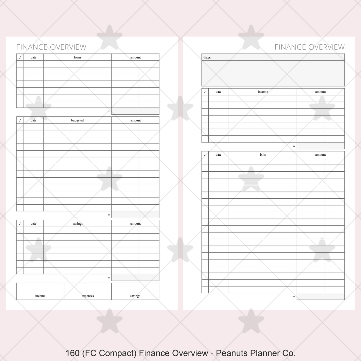 160: Finance Overview w/ Income Budget Loan Expenses Bills Savings Monthly
