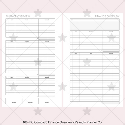 160: Finance Overview w/ Income Budget Loan Expenses Bills Savings Monthly