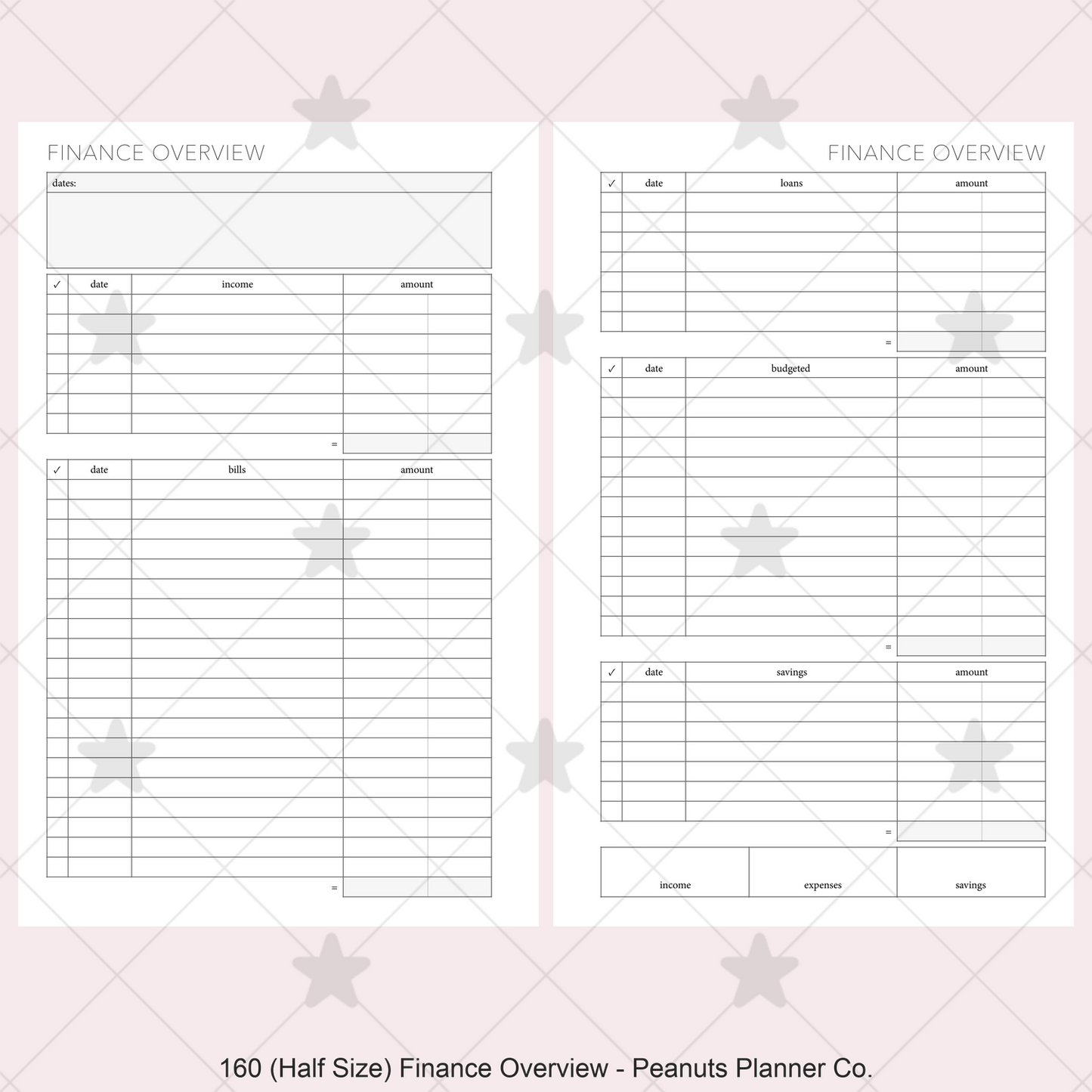 160: Finance Overview w/ Income Budget Loan Expenses Bills Savings Monthly