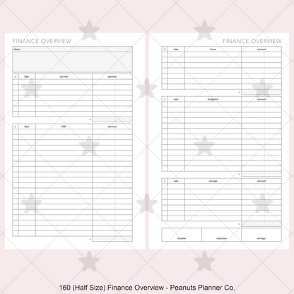 160: Finance Overview w/ Income Budget Loan Expenses Bills Savings Monthly