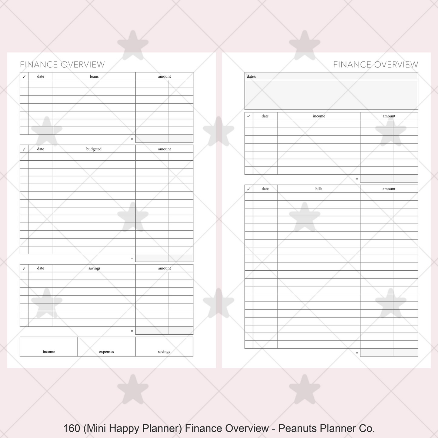 160: Finance Overview w/ Income Budget Loan Expenses Bills Savings Monthly