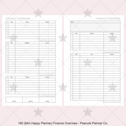160: Finance Overview w/ Income Budget Loan Expenses Bills Savings Monthly
