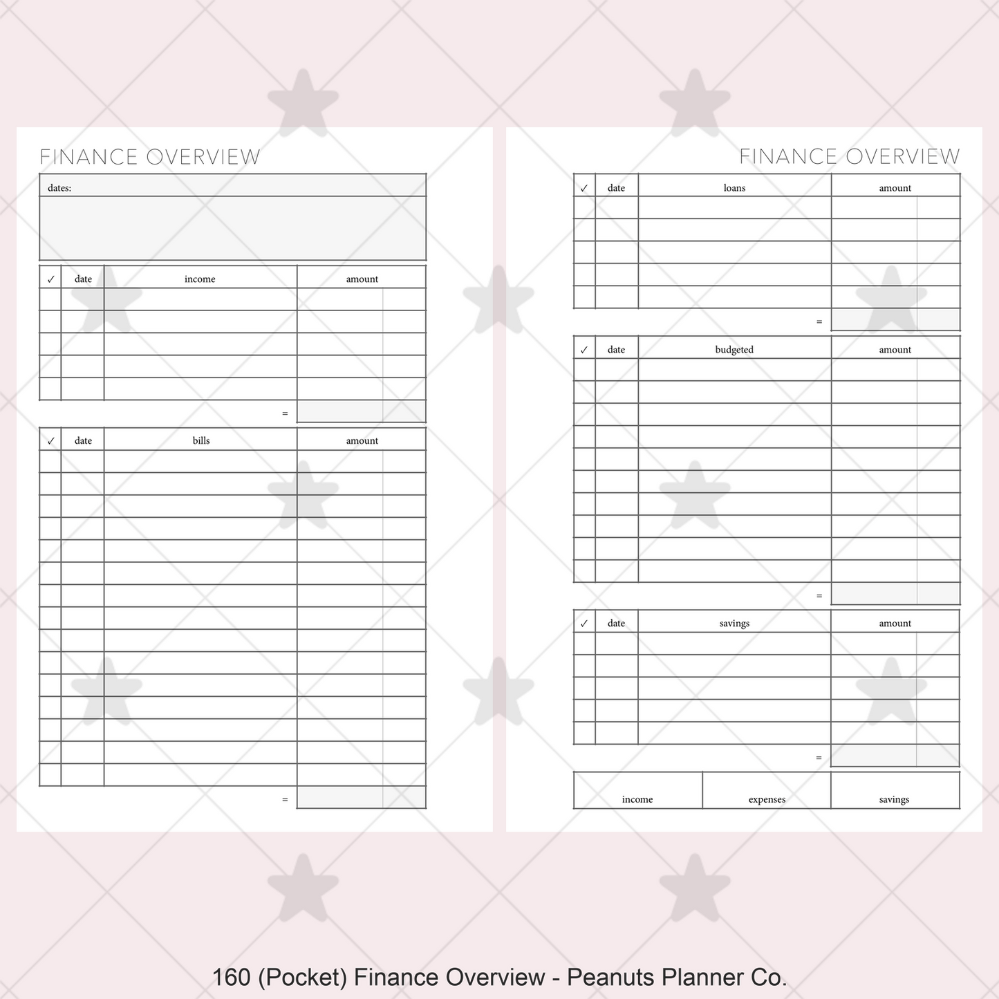 160: Finance Overview w/ Income Budget Loan Expenses Bills Savings Monthly