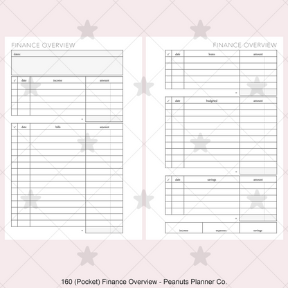 160: Finance Overview w/ Income Budget Loan Expenses Bills Savings Monthly