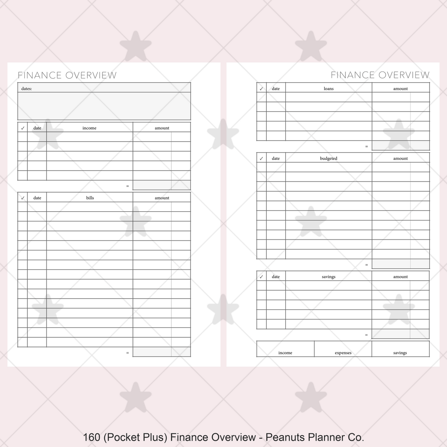 160: Finance Overview w/ Income Budget Loan Expenses Bills Savings Monthly