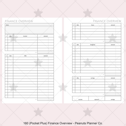 160: Finance Overview w/ Income Budget Loan Expenses Bills Savings Monthly