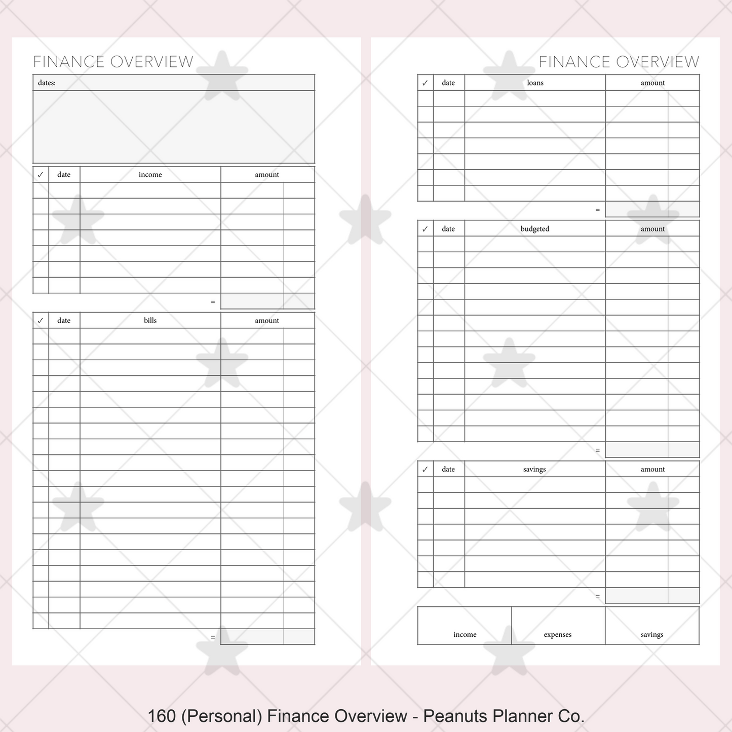 160: Finance Overview w/ Income Budget Loan Expenses Bills Savings Monthly