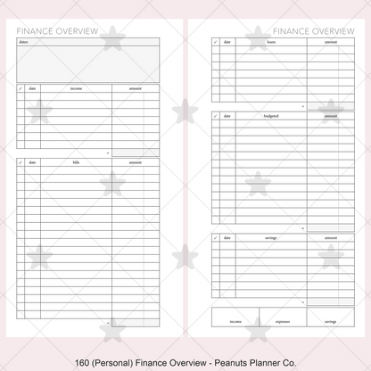 160: Finance Overview w/ Income Budget Loan Expenses Bills Savings Monthly