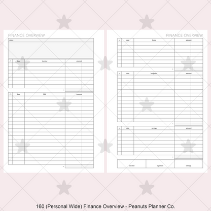 160: Finance Overview w/ Income Budget Loan Expenses Bills Savings Monthly