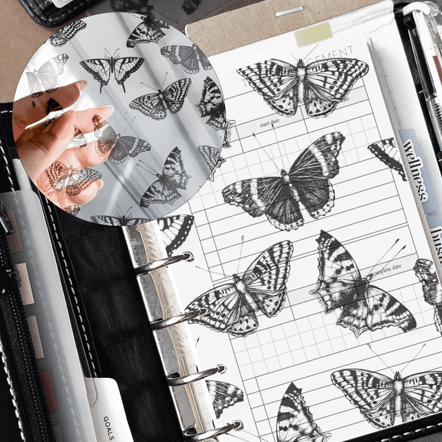 Butterflies Acetate